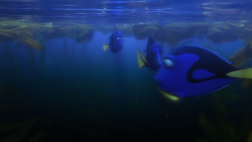 图片[6]-[BT下载][海底总动员2：多莉去哪儿][WEB-MKV/17.19GB][无字片源][4K-2160P][H265编码][流媒体][PandaQT]-影音屋