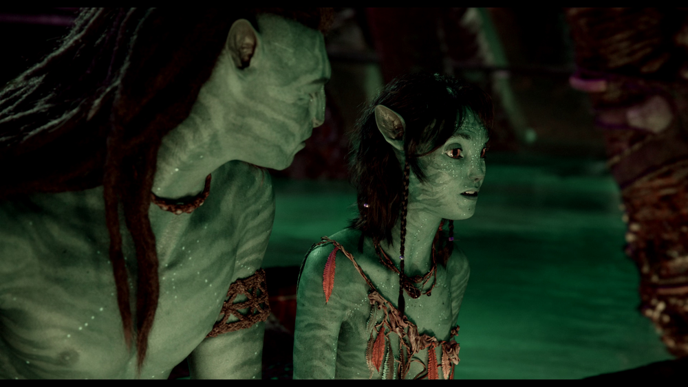 图片[4]-[BT下载][阿凡达：水之道][WEB-MKV/34.10GB][中文字幕][4K-2160P][杜比视界版本][H265编码][流媒体][PandaQT]-影音屋