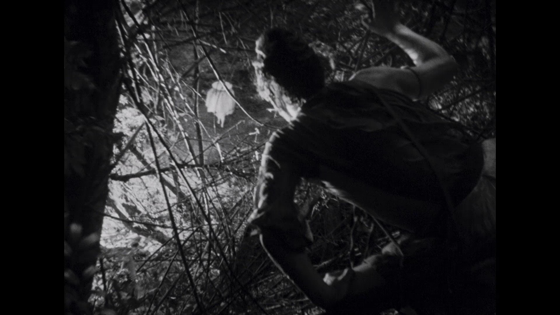 图片[3]-[BT下载][罗生门][BD-MP4/2.59GB][中文字幕][1080P][蓝光压制][DreamHD]-影音屋