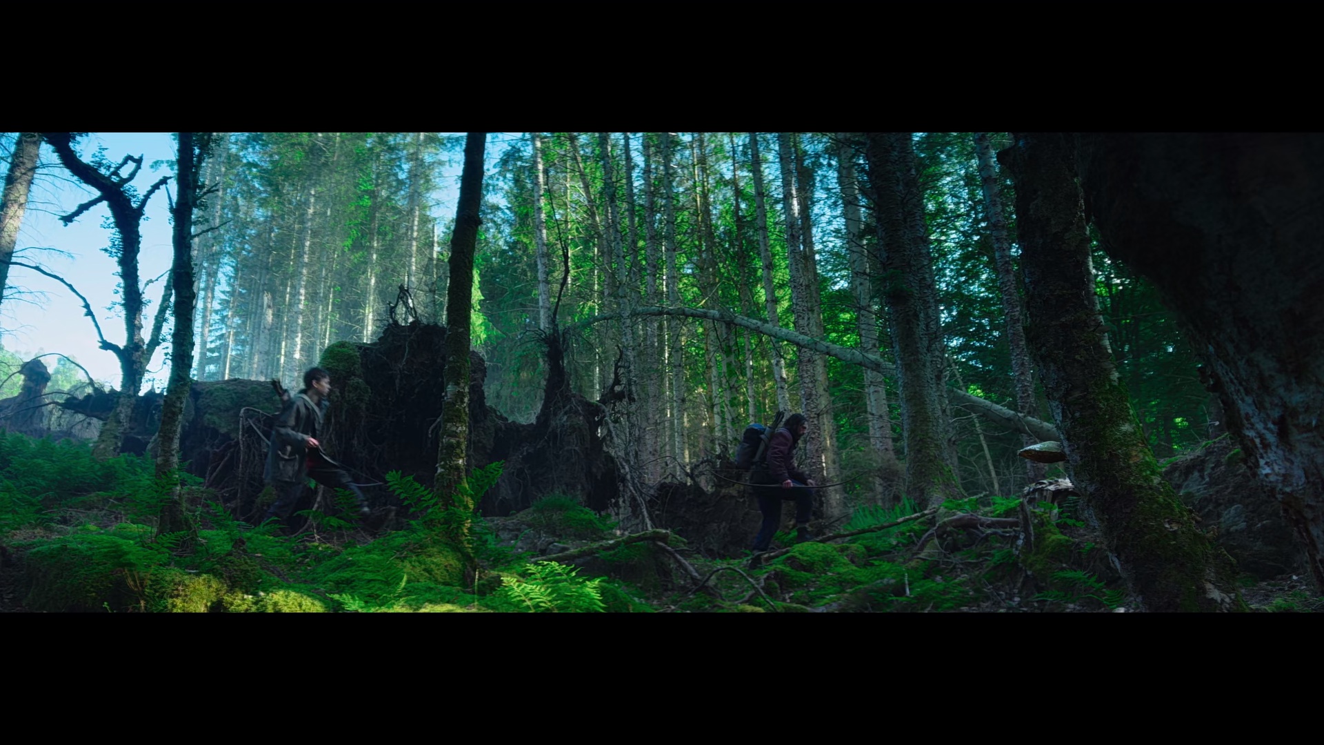 图片[2]-[BT下载][惊变28年][WEB-MKV/6.41GB][中文字幕][1080P][H265编码][流媒体][PandaQT]-影音屋