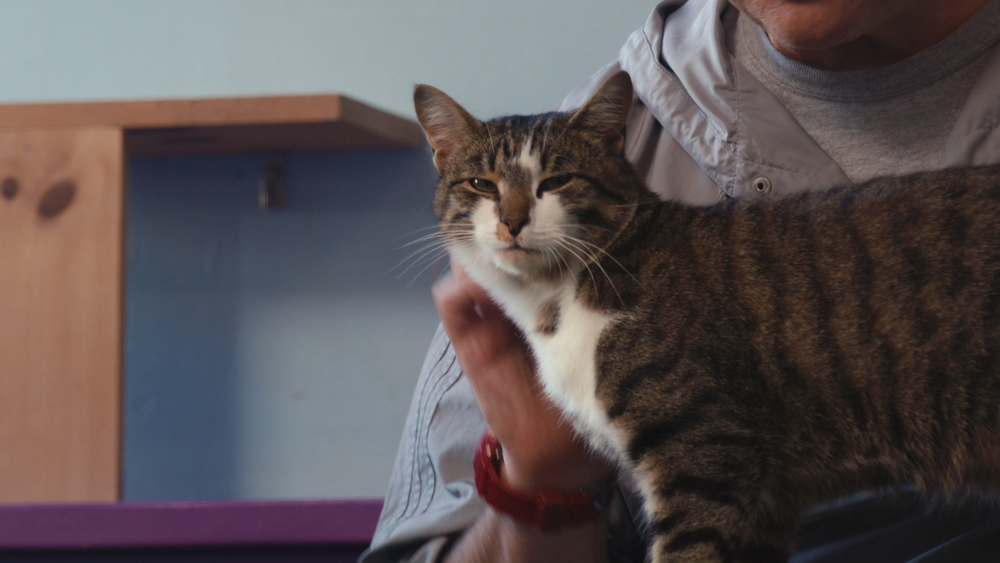 图片[3]-[BT下载][喵星人的奇思妙想][WEB-MKV/5.86GB][简繁英字幕][4K-2160P][H265编码][流媒体][QuickIO]-影音屋