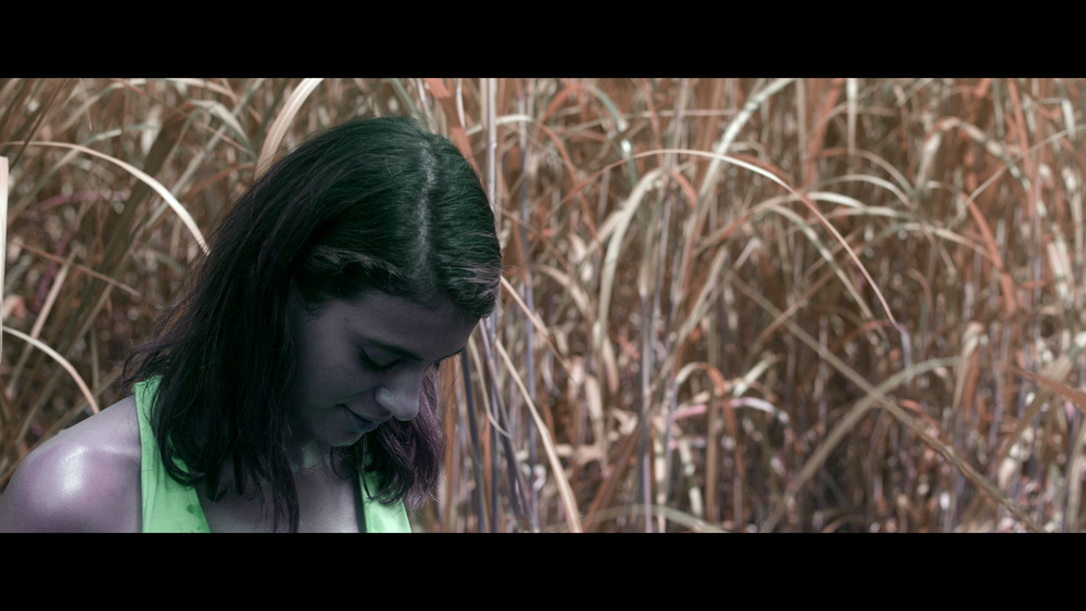 图片[4]-[BT下载][高草丛中][WEB-MKV/13.72GB][简繁英字幕][4K-2160P][杜比视界版本][H265编码][流媒体][QuickIO]-影音屋