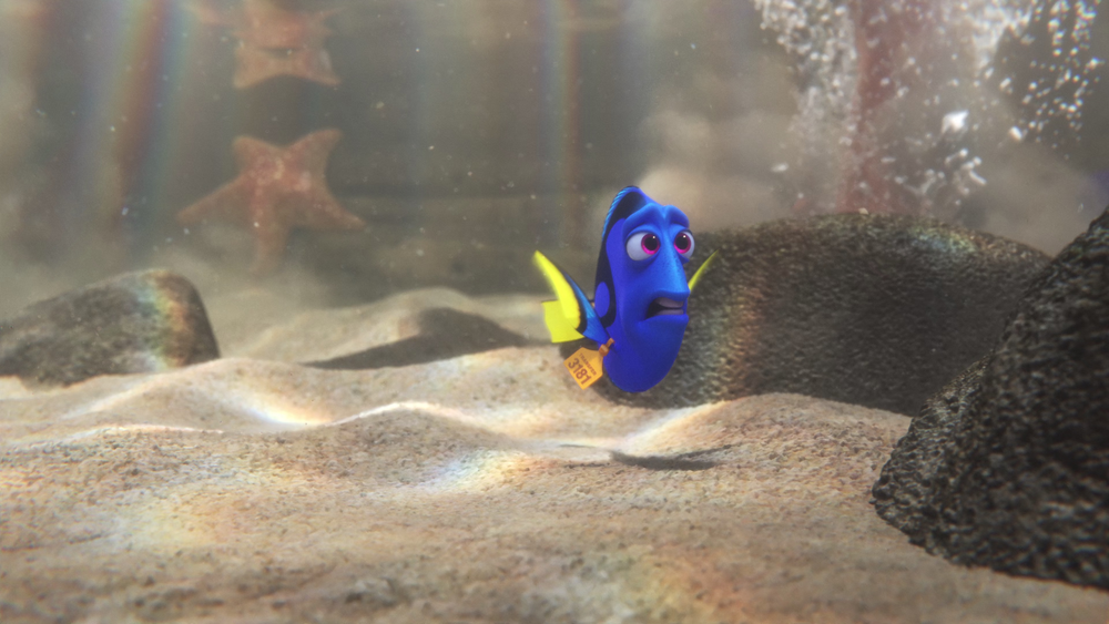 图片[4]-[BT下载][海底总动员2：多莉去哪儿][WEB-MKV/17.19GB][无字片源][4K-2160P][H265编码][流媒体][PandaQT]-影音屋