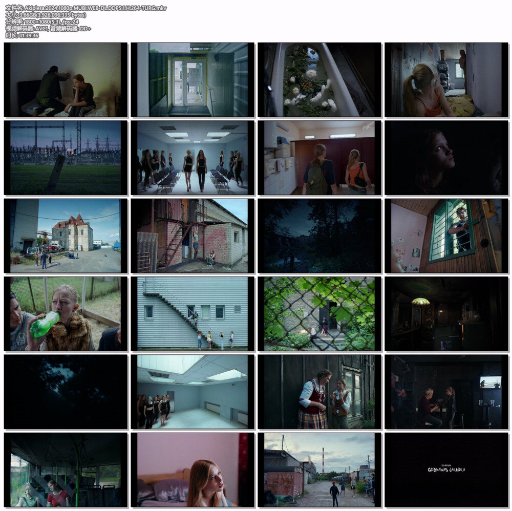 图片[2]-[BT下载][无耻之心][WEB-MKV/3.65GB][英文字幕][1080P][流媒体][TURG]-影音屋