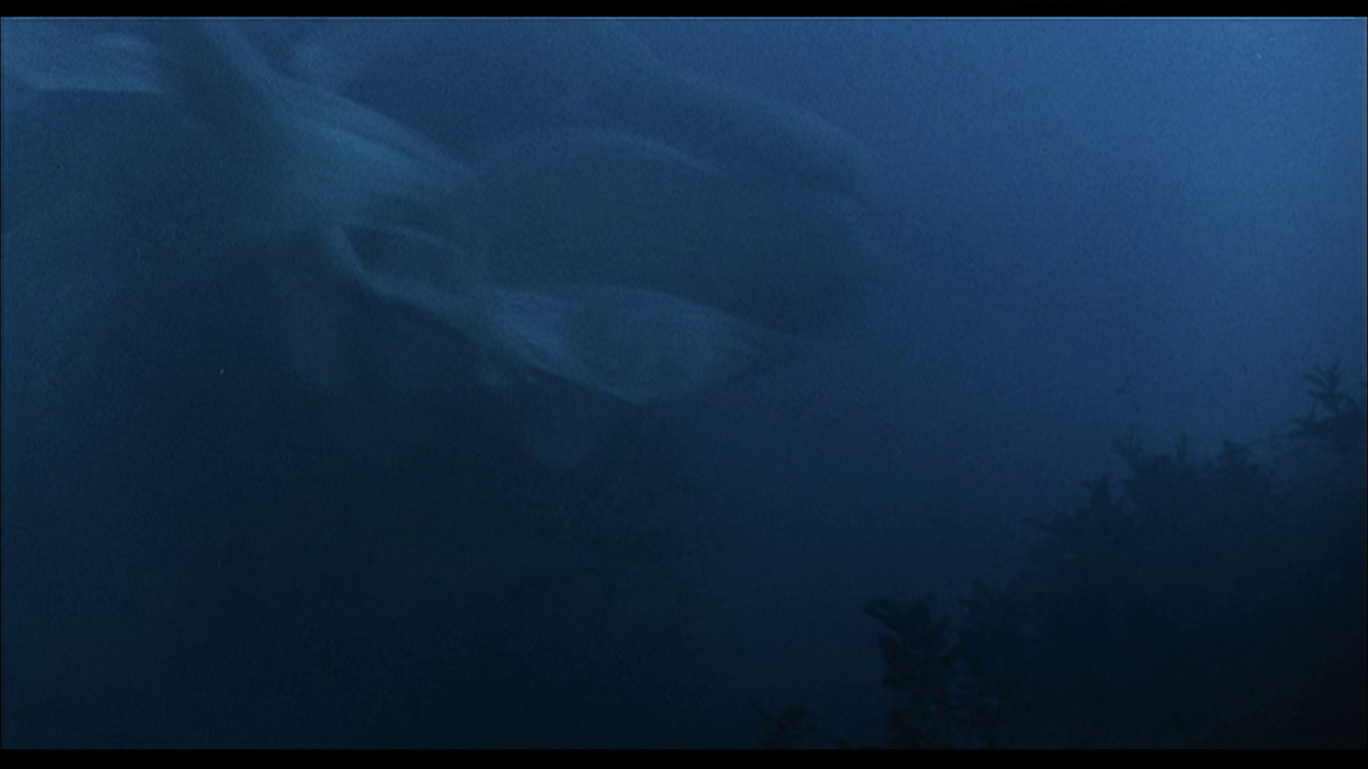 图片[3]-[BT下载][倩女幽魂][WEB-MKV/2.62GB][中文字幕][1080P][H265编码][流媒体][PandaQT]-影音屋