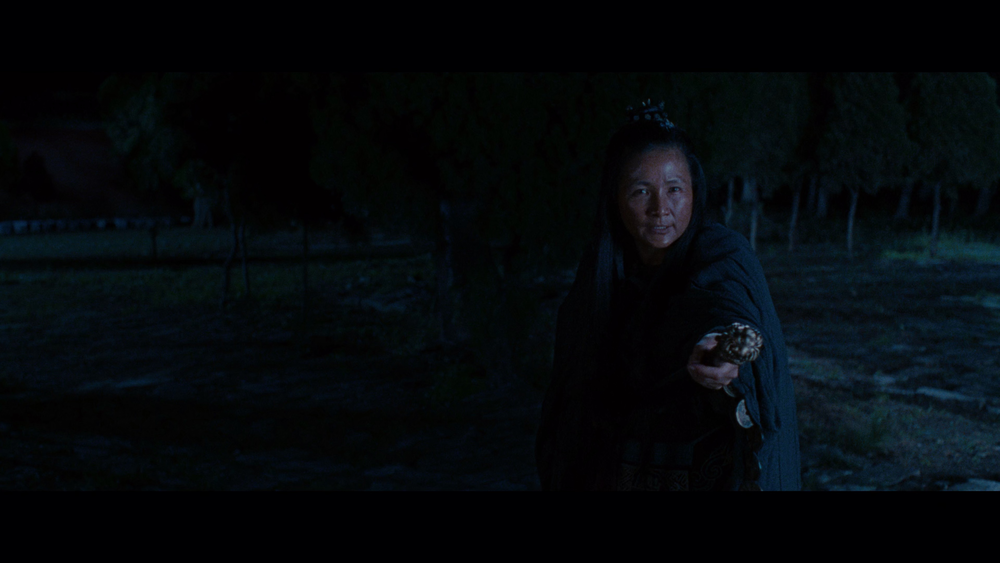 图片[3]-[BT下载][卧虎藏龙][WEB-MKV/20.95GB][中文字幕][4K-2160P][H265编码][流媒体][PandaQT]-影音屋