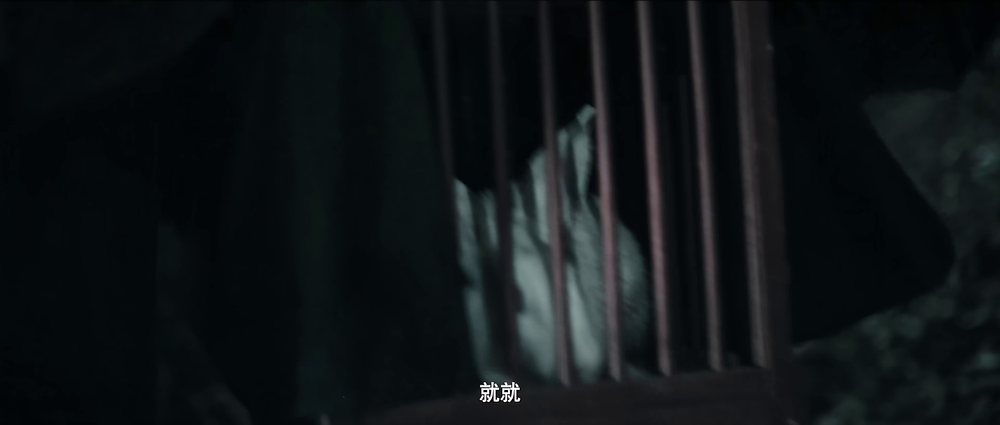 图片[2]-[BT下载][兔儿谣][WEB-MP4/2.37GB][国语配音/中文字幕][4K-2160P][H265编码][流媒体][QuickIO]-影音屋