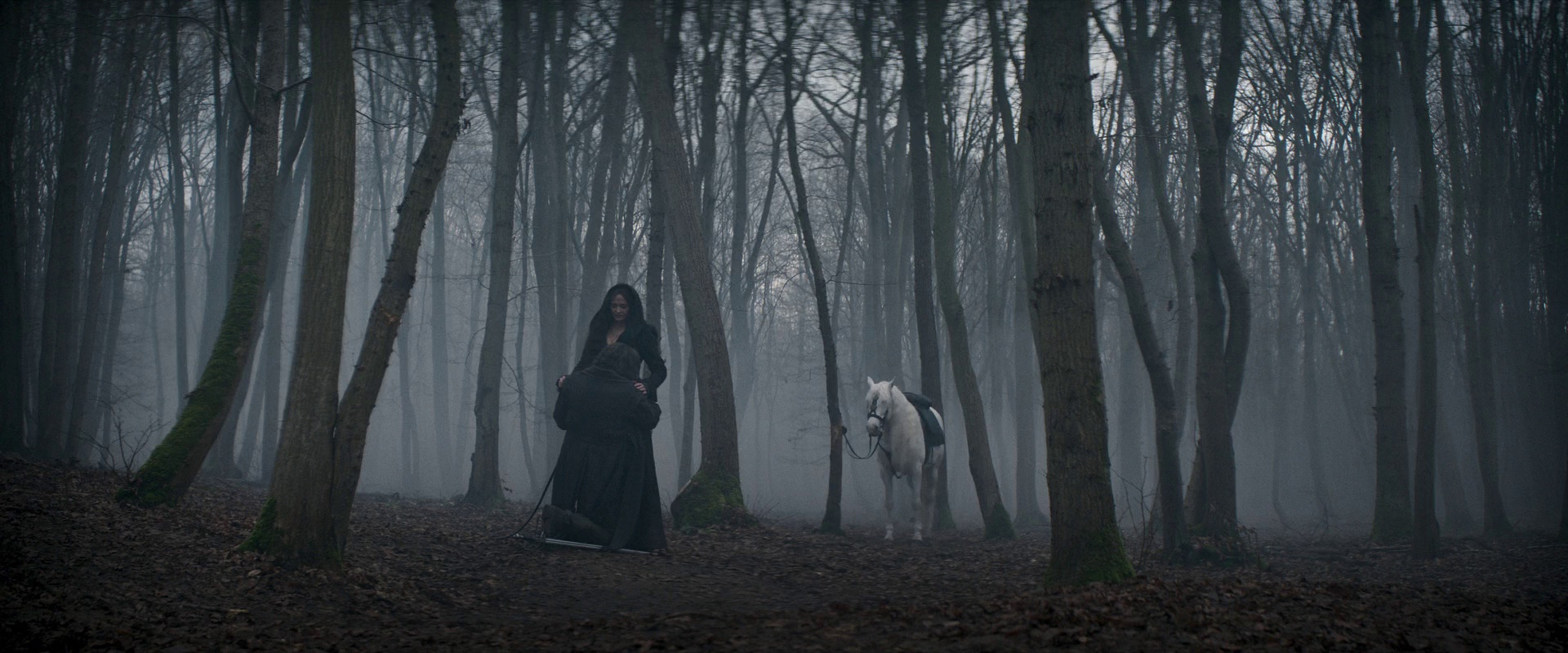 图片[5]-[BT下载][三个火枪手：米莱迪][BD-MKV/12.59GB][中文字幕][1080P][蓝光压制][ParkHD]-影音屋