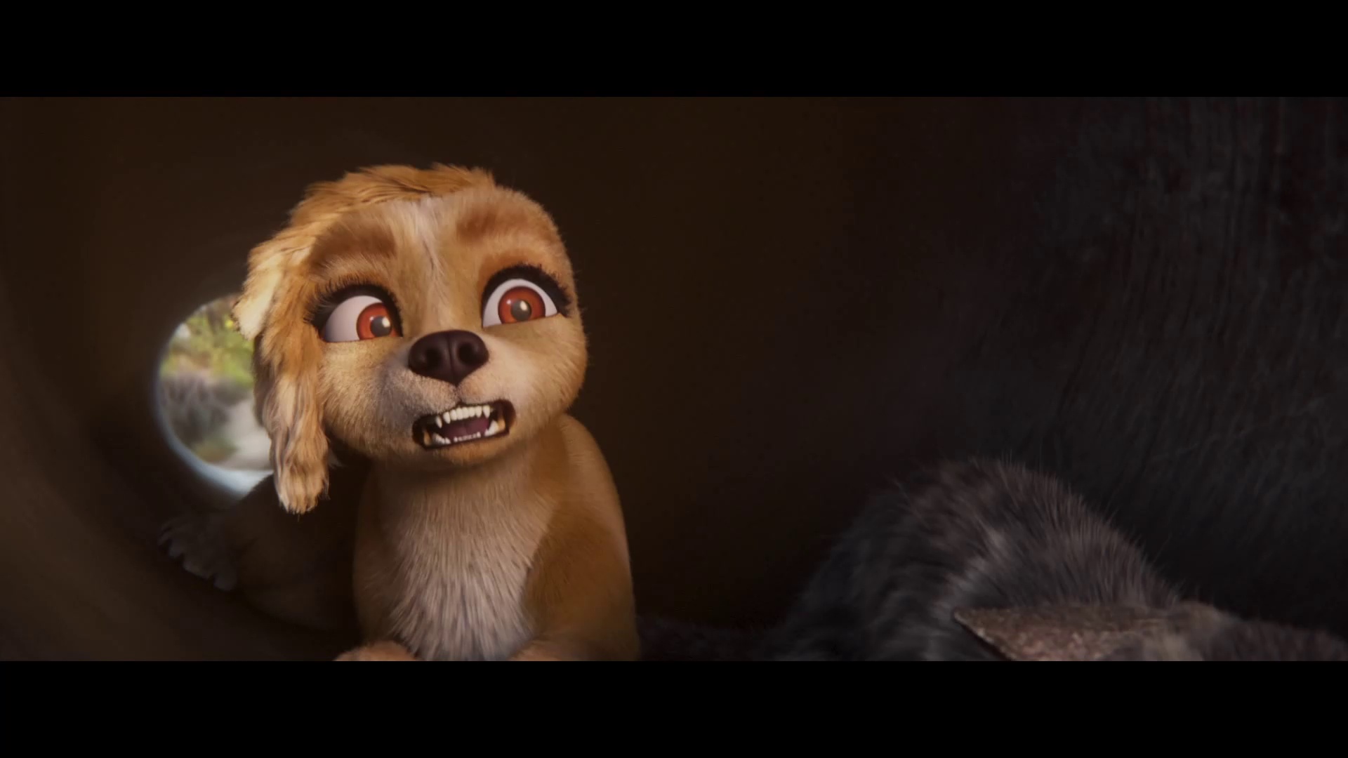 图片[5]-[BT下载][寻家历险记][WEB-MKV/2.52GB][中文字幕][1080P][流媒体][DreamHD]-影音屋