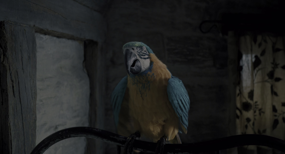 图片[3]-[BT下载][多力特的奇幻冒险][WEB-MKV/11.21GB][国英多音轨/简繁英字幕][4K-2160P][HDR+杜比视界双版本][H265编码][流媒体][Pand-影音屋