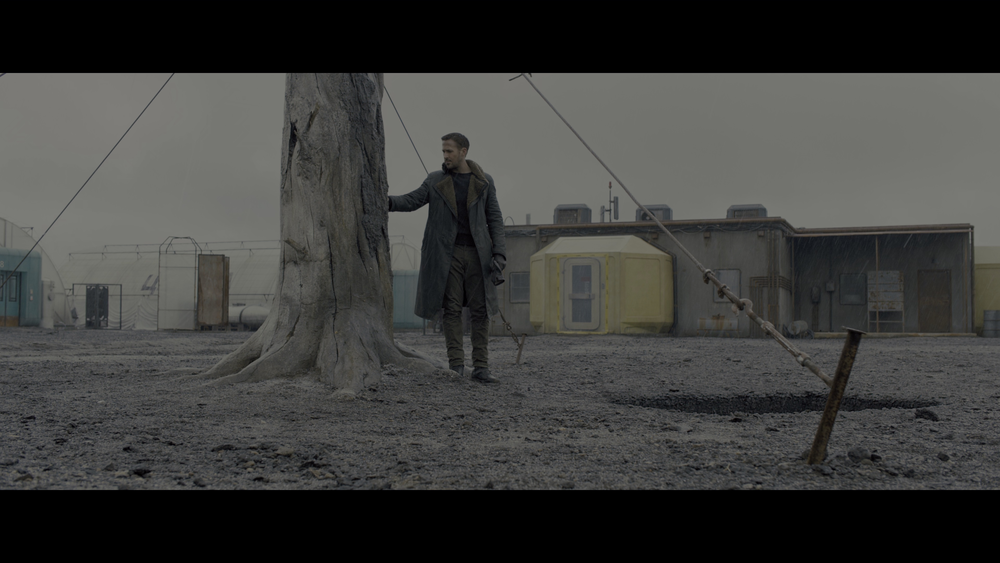 图片[3]-[BT下载][银翼杀手2049][WEB-MKV/28.62GB][简繁英字幕][4K-2160P][HDR版本][H265编码][流媒体][PandaQT]-影音屋