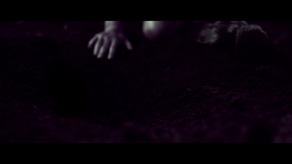 图片[2]-[BT下载][高草丛中][WEB-MKV/13.72GB][简繁英字幕][4K-2160P][杜比视界版本][H265编码][流媒体][QuickIO]-影音屋