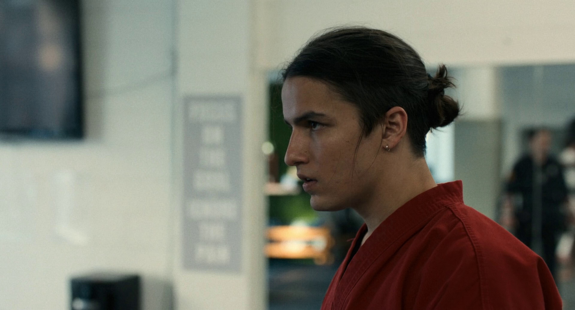 图片[2]-[BT下载][功夫梦：融合之道][BD-MKV/9.92GB][简繁英字幕][1080P][蓝光压制][DreamHD]-影音屋