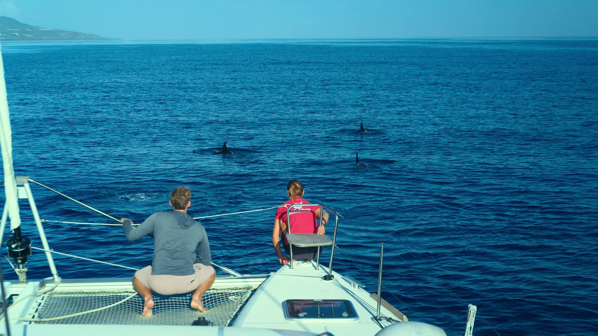 图片[4]-[BT下载][摄影师贝尔蒂与海豚零距离][WEB-MKV/2.47GB][简繁英字幕][1080P][流媒体][DreamHD]-影音屋