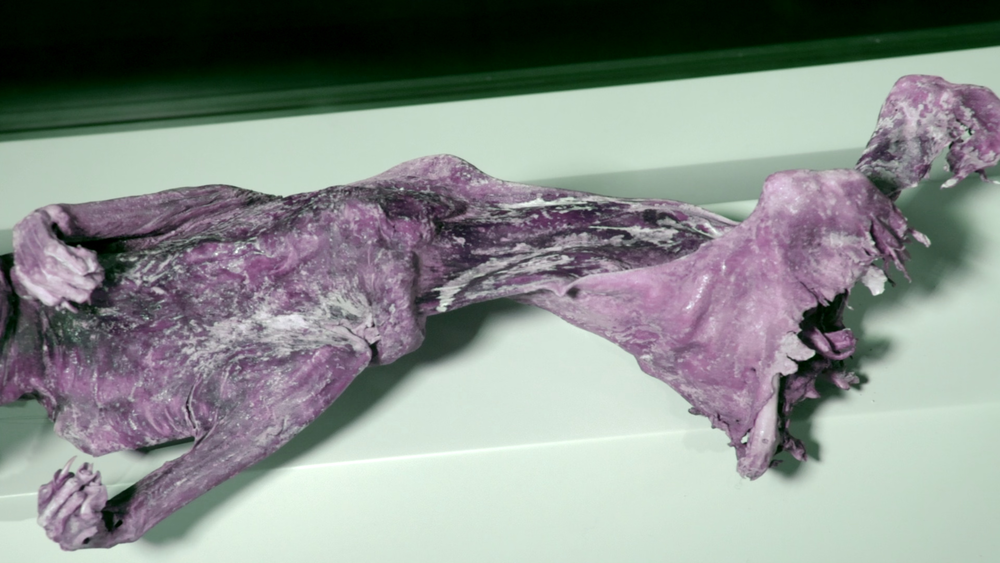 图片[5]-[BT下载][喵星人的奇思妙想][WEB-MKV/9.11GB][简繁英字幕][4K-2160P][杜比视界版本][H265编码][流媒体][QuickIO]-影音屋