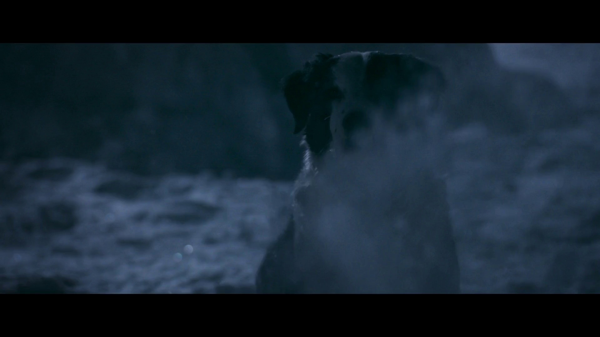 图片[5]-[BT下载][北极小迷狐吉娜&尤克][WEB-MKV/4.46GB][中文字幕][1080P][流媒体][DreamHD]-影音屋