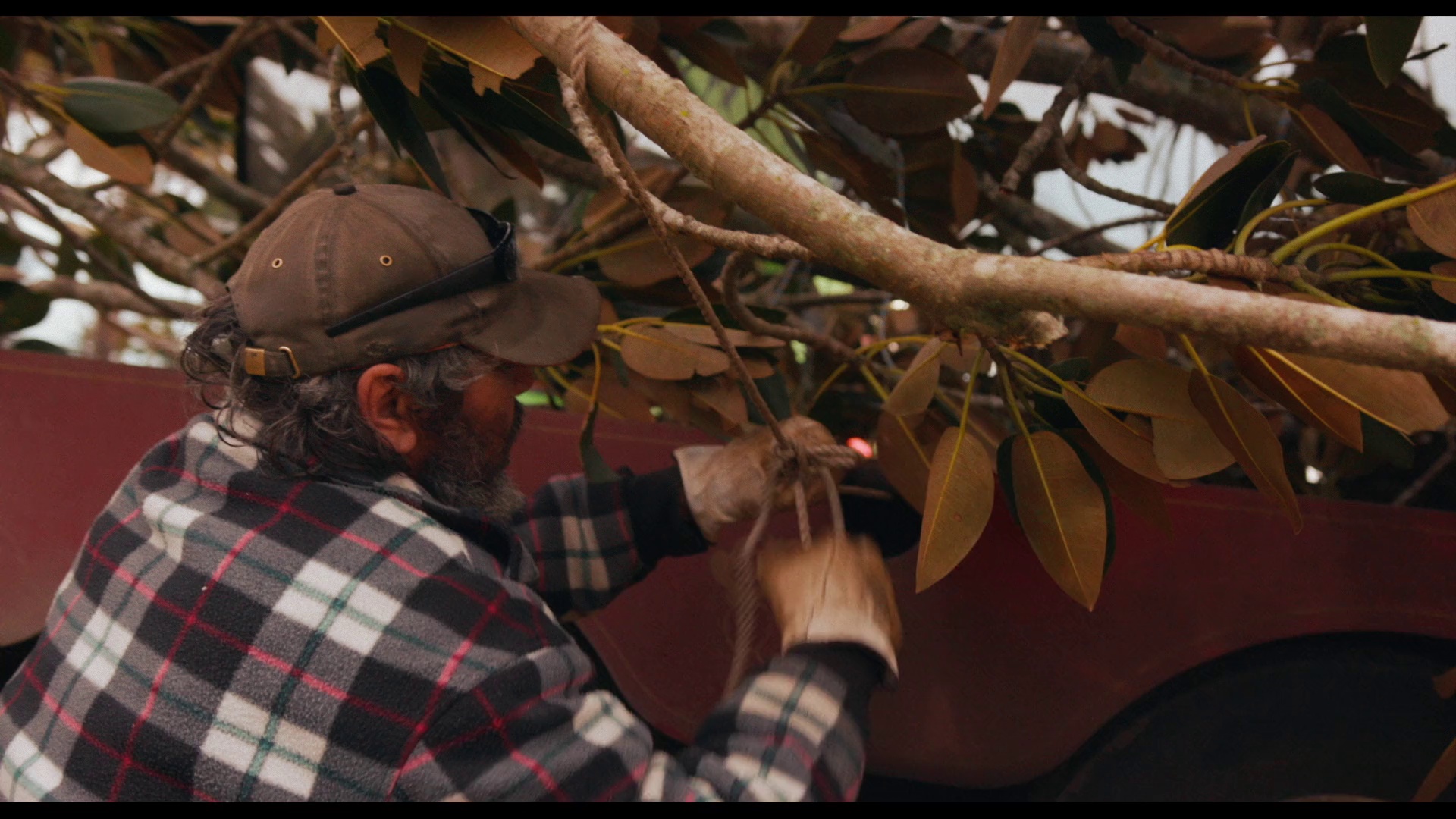 图片[4]-[BT下载][Dale.Frank.-.Nobody's.Sweetie][WEB-MKV/5.57GB][无字片源][1080P][流媒体][DreamHD]-影音屋