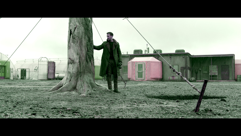 图片[3]-[BT下载][银翼杀手2049][WEB-MKV/28.79GB][简繁英字幕][4K-2160P][杜比视界版本][H265编码][流媒体][PandaQT]-影音屋