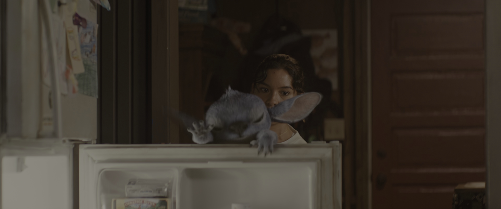 图片[4]-[BT下载][星际宝贝史迪奇][WEB-MKV/18.80GB][简繁英字幕][4K-2160P][HDR+杜比视界双版本][H265编码][流媒体][QuickIO]-影音屋