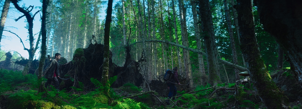 图片[2]-[BT下载][惊变28年][WEB-MKV/9.97GB][简繁英字幕][4K-2160P][H265编码][流媒体][QuickIO]-影音屋