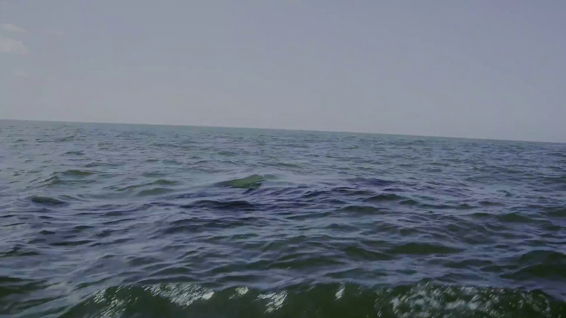 图片[2]-[BT下载][狂野太平洋][WEB-MP4/0.64GB][中文字幕][1080P][流媒体][PandaQT]-影音屋