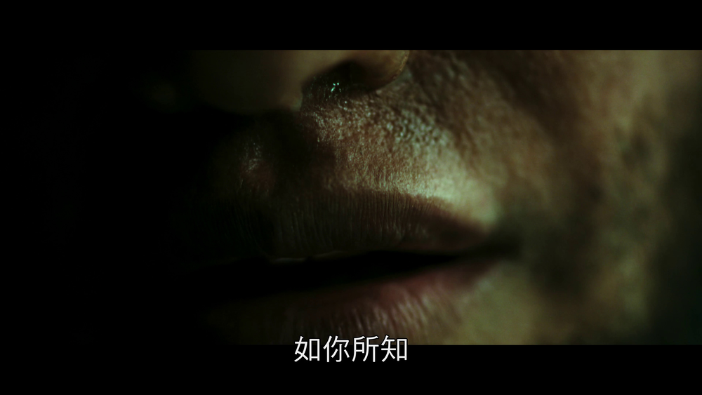 图片[2]-[BT下载][艾米莉亚·佩雷斯][WEB-MKV/16.83GB][中文字幕][4K-2160P][30帧率][流媒体][DreamHD]-影音屋