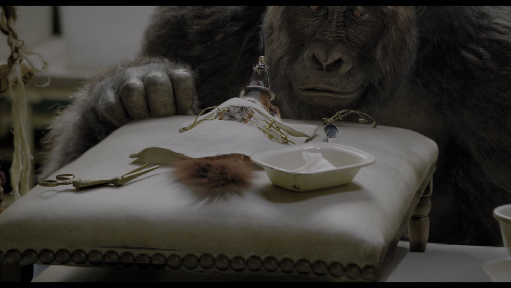 图片[2]-[BT下载][多力特的奇幻冒险][WEB-MKV/17.79GB][中文字幕][4K-2160P][HDR版本][H265编码][流媒体][PandaQT]-影音屋