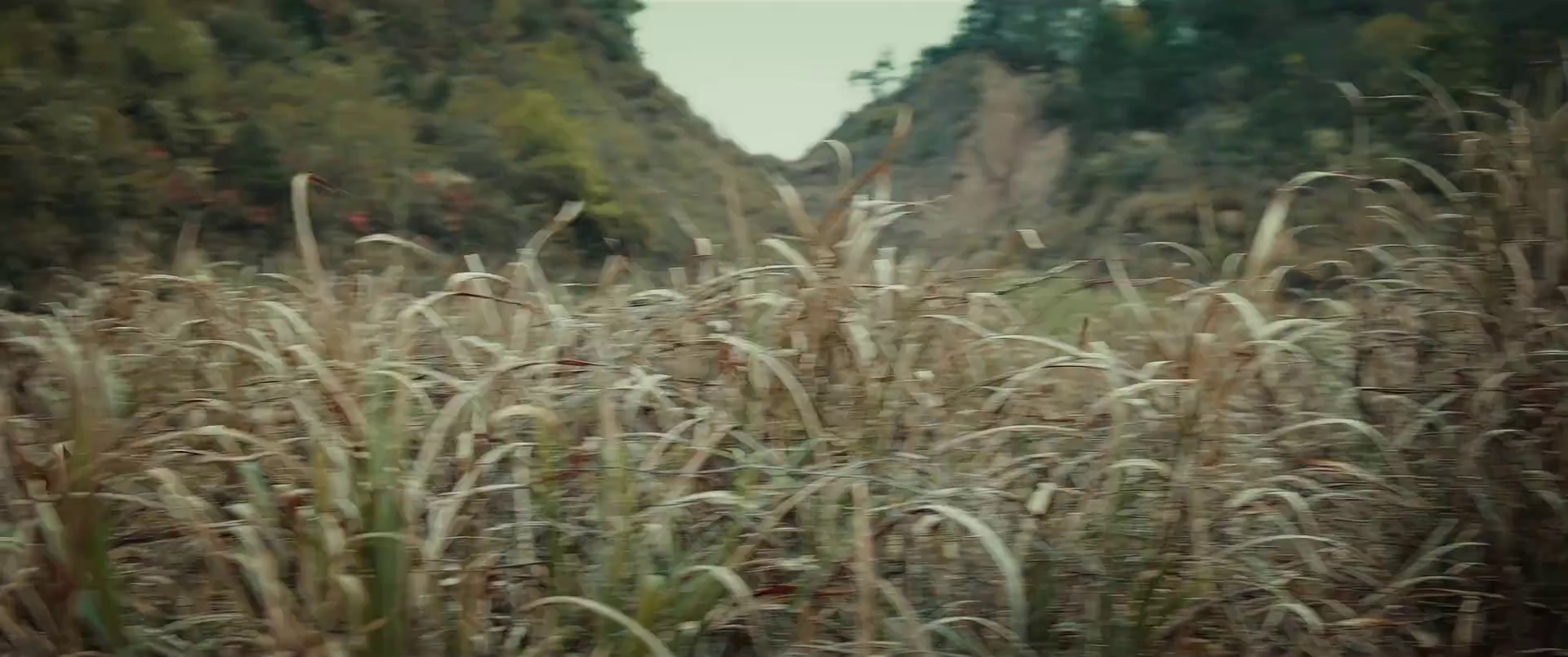 图片[7]-[BT下载][替身纸人][WEB-MP4/1.15GB][国语配音/中文字幕][1080P][流媒体][PandaQT]-影音屋