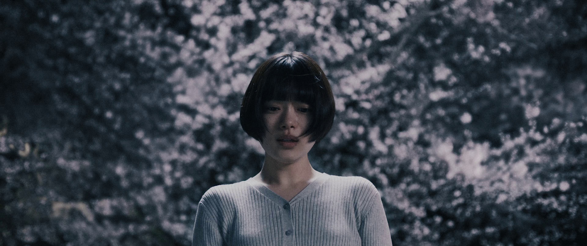 图片[4]-[BT下载][樱花酒店][BD-MKV/9.76GB][简繁字幕][1080P][蓝光压制][CTRLHD]-影音屋