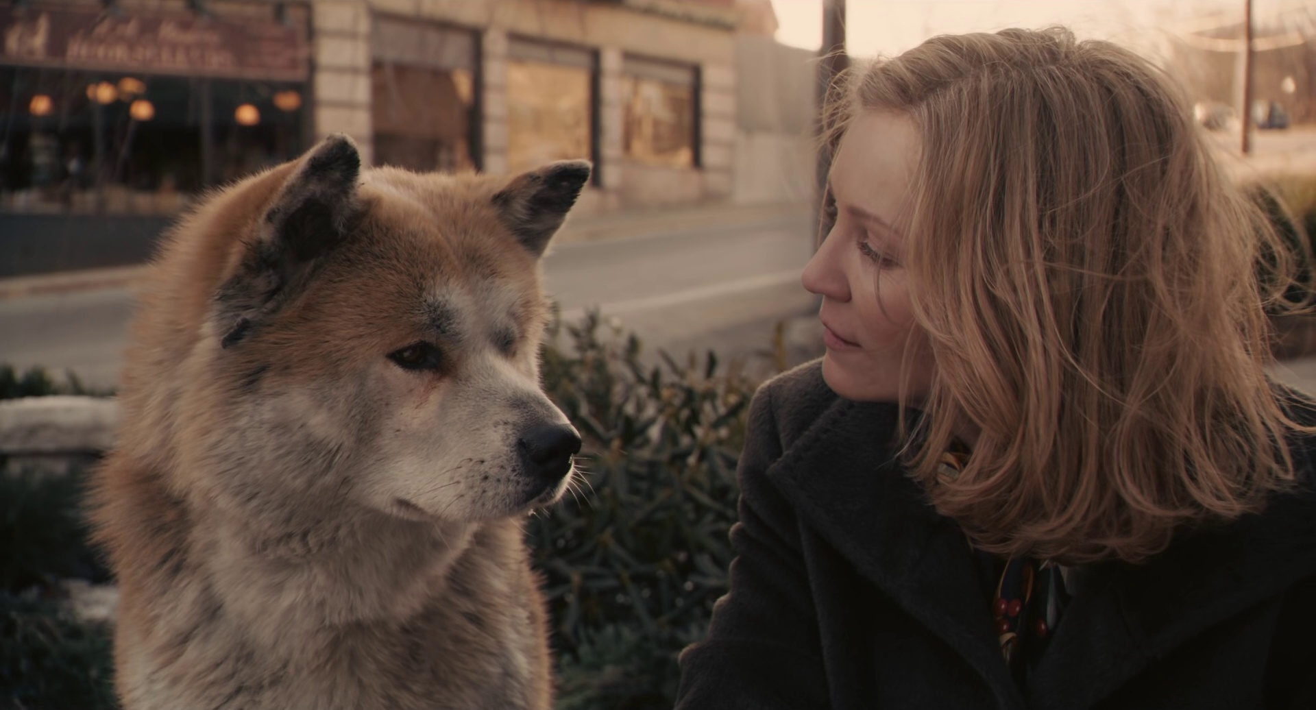 图片[7]-[BT下载][忠犬八公的故事][BD-MKV/10.89GB][中文字幕/特效字幕][1080P][蓝光压制][DreamHD]-影音屋