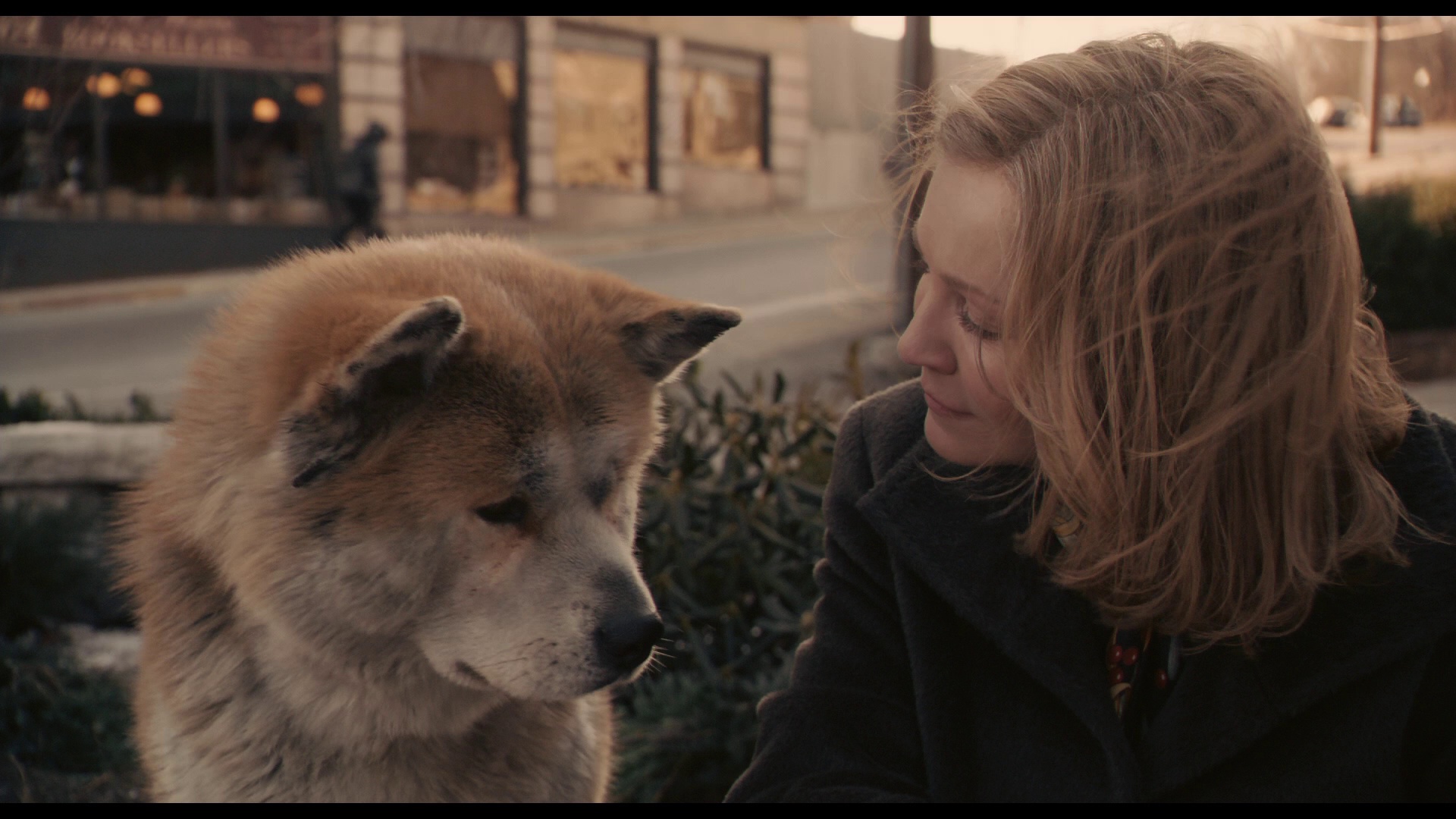 图片[7]-[BT下载][忠犬八公的故事][BD-MKV/22.51GB][中文字幕/特效字幕][1080P][蓝光压制][DreamHD]-影音屋