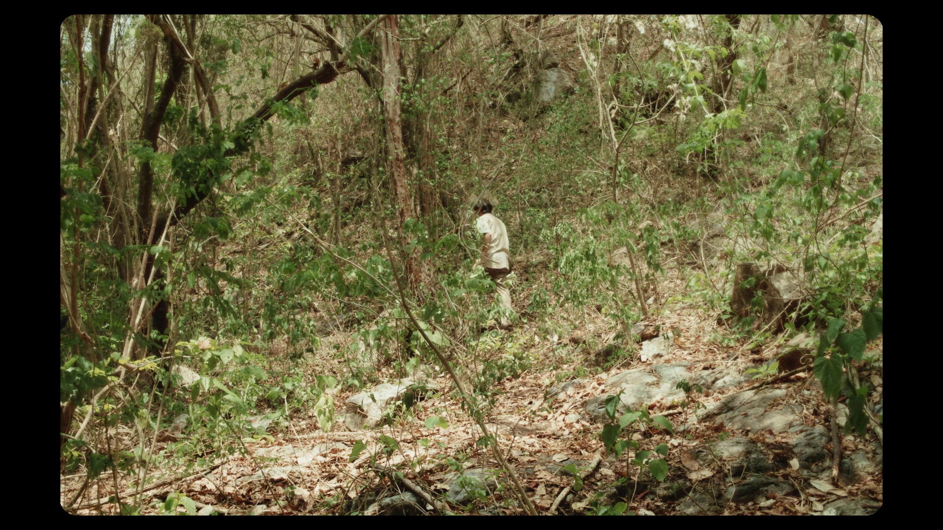 图片[7]-[BT下载][尤里卡][BD-MP4/4.33GB][中文字幕][1080P][蓝光压制][DreamHD]-影音屋