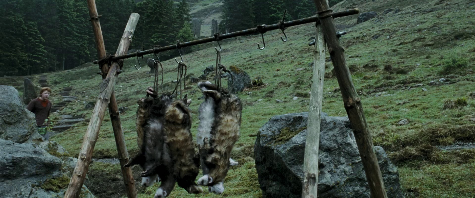 图片[5]-[BT下载][哈利·波特与魔法石][共11部合集][WEB-MKV/85.02GB][国英多音轨/简繁字幕][1080P][流媒体][PandaQT]-影音屋