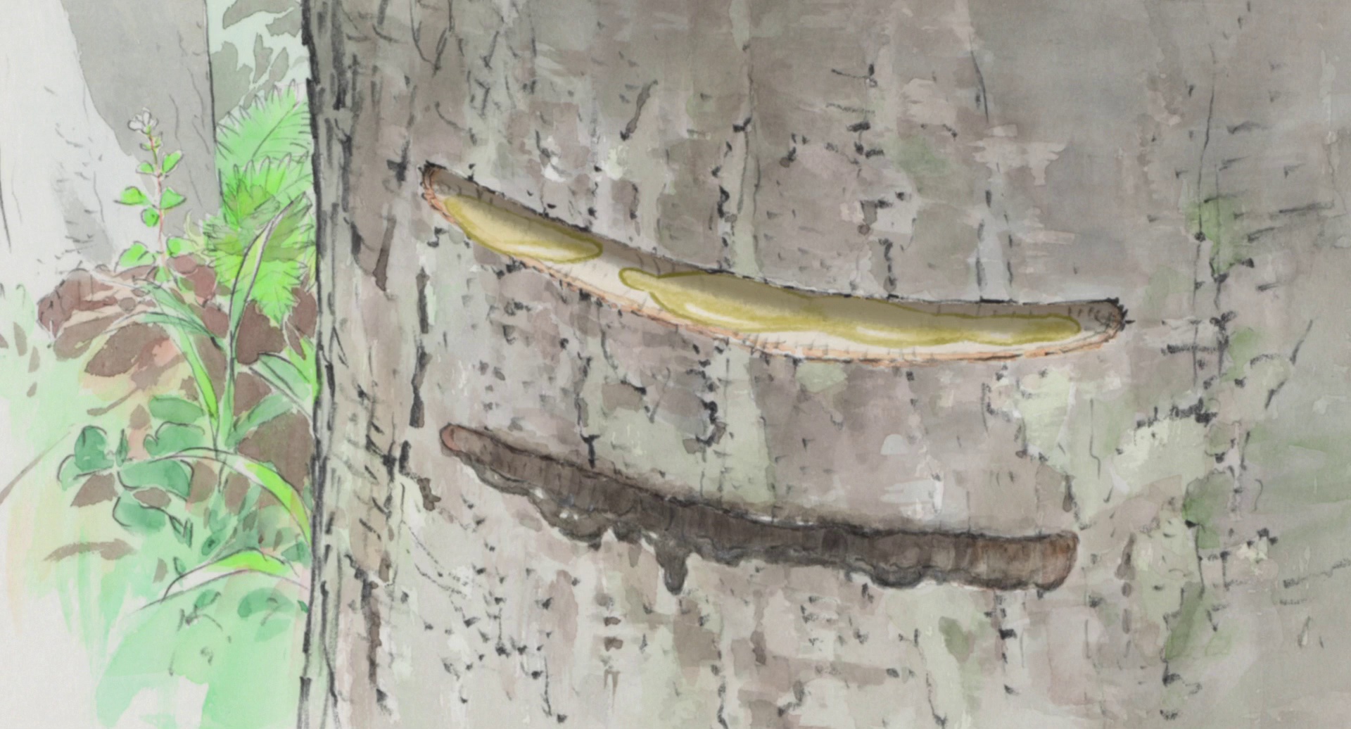 图片[2]-[BT下载][辉夜姬物语][WEB-MKV/7.19GB][国日多音轨/中文字幕][1080P][流媒体][PandaQT]-影音屋