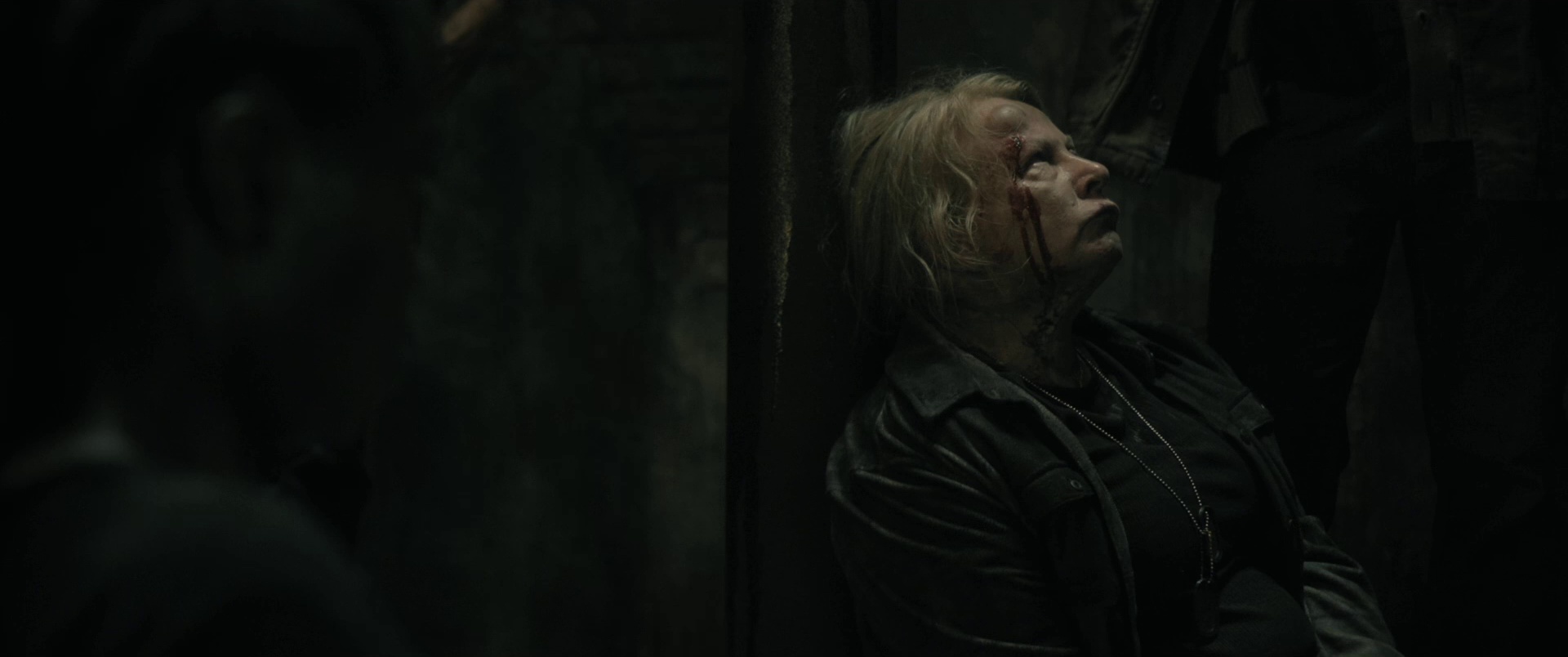 图片[6]-[BT下载][40英亩][BD-MKV/14.74GB][简繁英字幕][1080P][蓝光压制][DreamHD]-影音屋