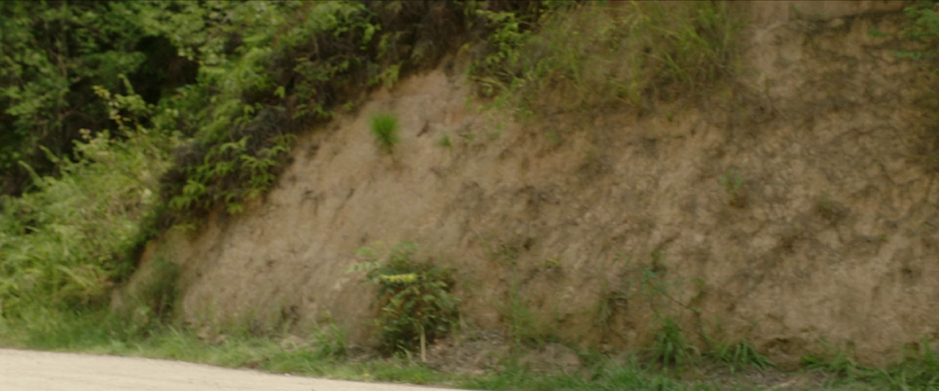 图片[2]-[BT下载][浴血山河][WEB-MP4/1.57GB][国语配音/中文字幕][1080P][流媒体][QuickIO]-影音屋