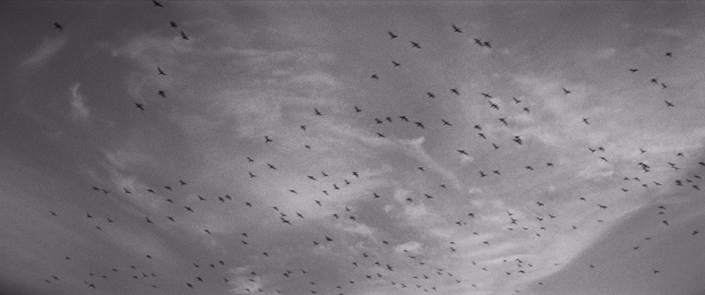 图片[6]-[BT下载][野火][BD-MKV/16.51GB][中文字幕][4K-2160P][H265编码][蓝光压制][ParkHD]-影音屋