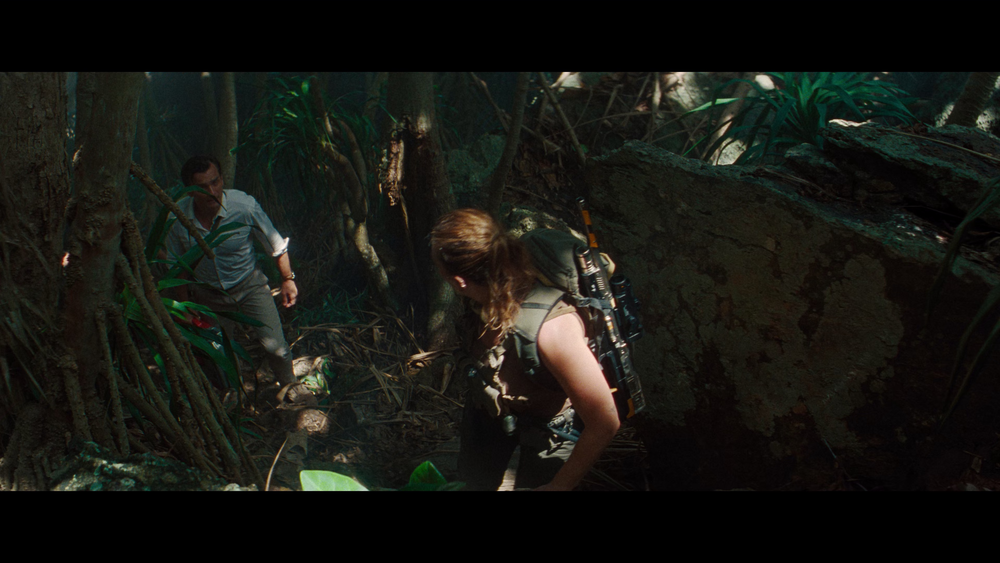 图片[4]-[BT下载][侏罗纪世界：重生][WEB-MKV/23.43GB][中文字幕][4K-2160P][H265编码][流媒体][PandaQT]-影音屋