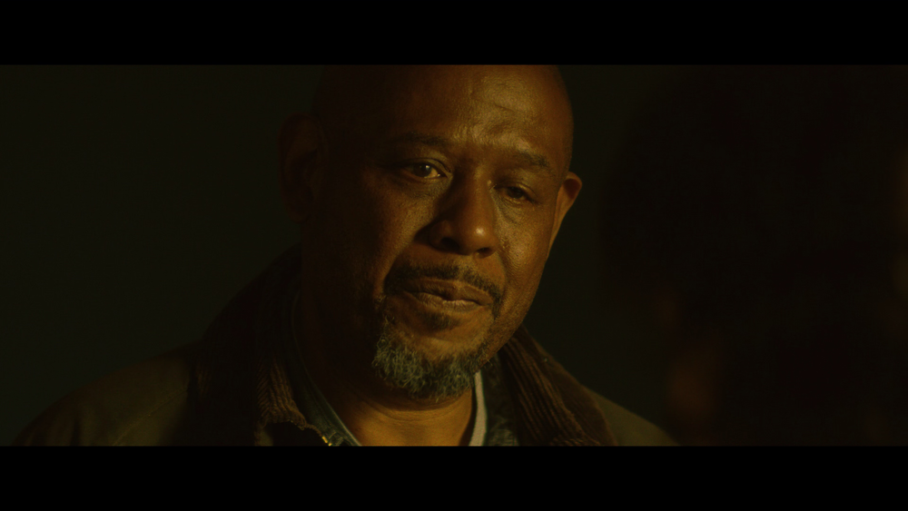 图片[3]-[BT下载][末路爱侣][WEB-MKV/9.86GB][简繁英字幕][4K-2160P][H265编码][流媒体][QuickIO]-影音屋