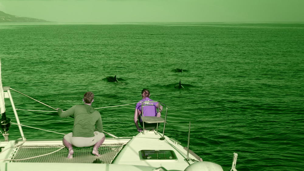 图片[4]-[BT下载][摄影师贝尔蒂与海豚零距离][WEB-MKV/5.19GB][简繁英字幕][4K-2160P][杜比视界版本][H265编码][流媒体][DreamHD]-影音屋