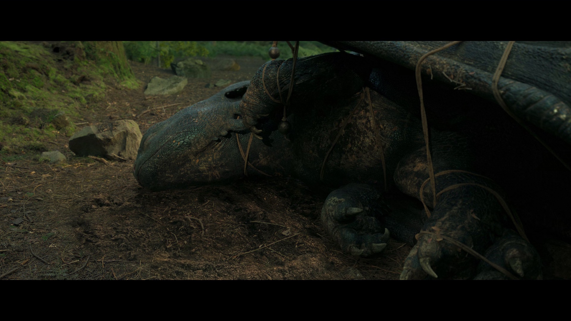 图片[2]-[BT下载][新·驯龙高手][WEB-MKV/7.48GB][中文字幕][1080P][H265编码][流媒体][PandaQT]-影音屋