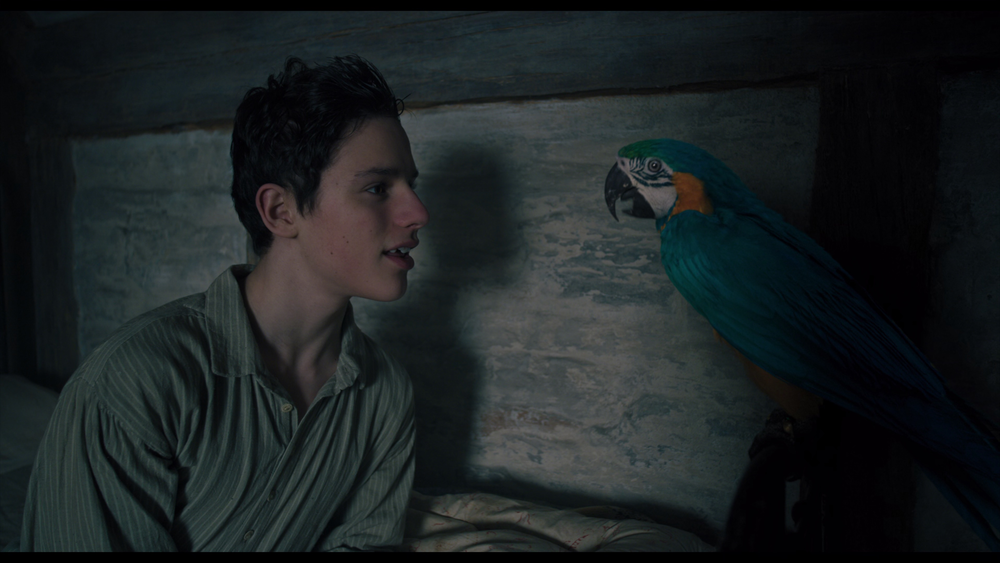 图片[3]-[BT下载][多力特的奇幻冒险][WEB-MKV/17.87GB][中文字幕][4K-2160P][H265编码][流媒体][PandaQT]-影音屋