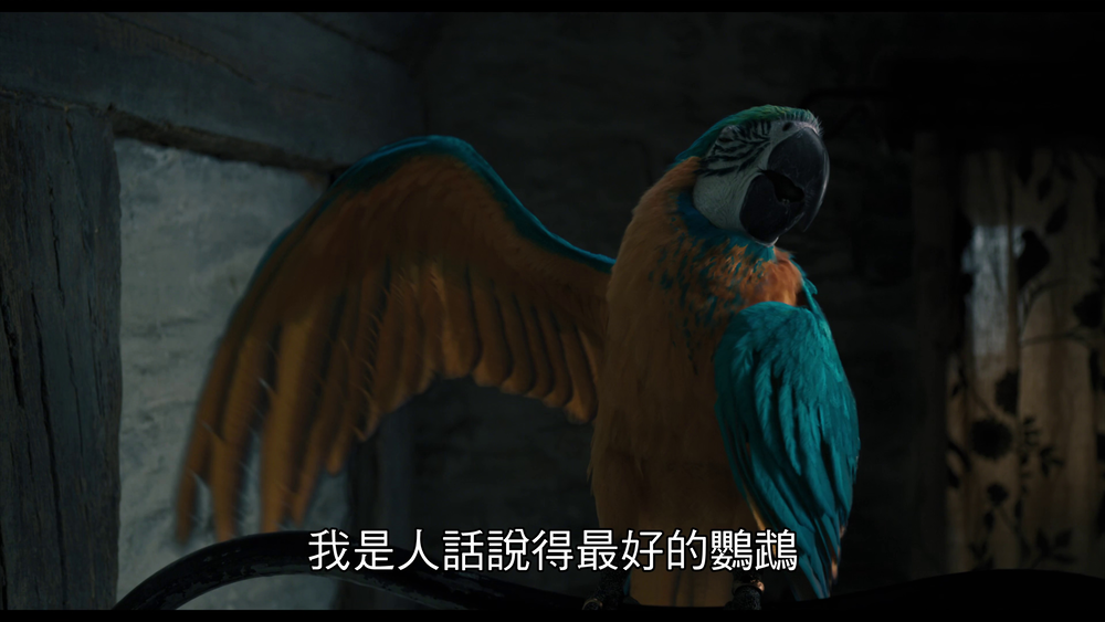 图片[3]-[BT下载][多力特的奇幻冒险][WEB-MKV/13.35GB][中文字幕][4K-2160P][30帧率][流媒体][DreamHD]-影音屋