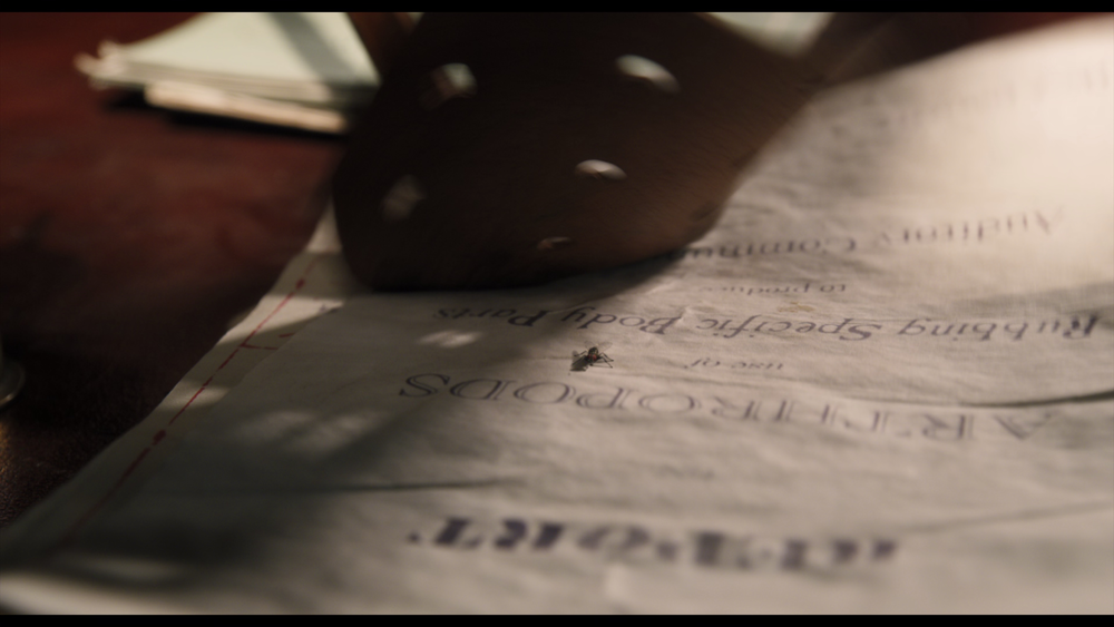 图片[4]-[BT下载][多力特的奇幻冒险][WEB-MKV/17.87GB][中文字幕][4K-2160P][H265编码][流媒体][PandaQT]-影音屋