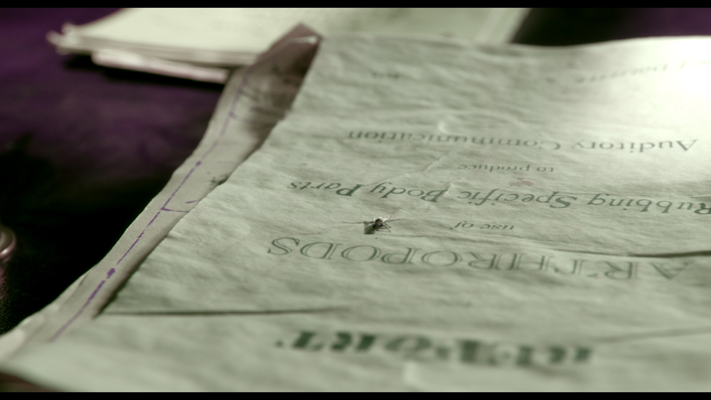 图片[4]-[BT下载][多力特的奇幻冒险][WEB-MKV/17.81GB][中文字幕][4K-2160P][杜比视界版本][H265编码][流媒体][PandaQT]-影音屋