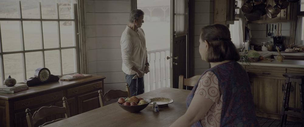 图片[2]-[BT下载][第一滴血5：最后的血][BD-MKV/22.00GB][中文字幕/特效字幕][4K-2160P][HDR+杜比视界双版本][H265编码][蓝光压制][Drea-影音屋