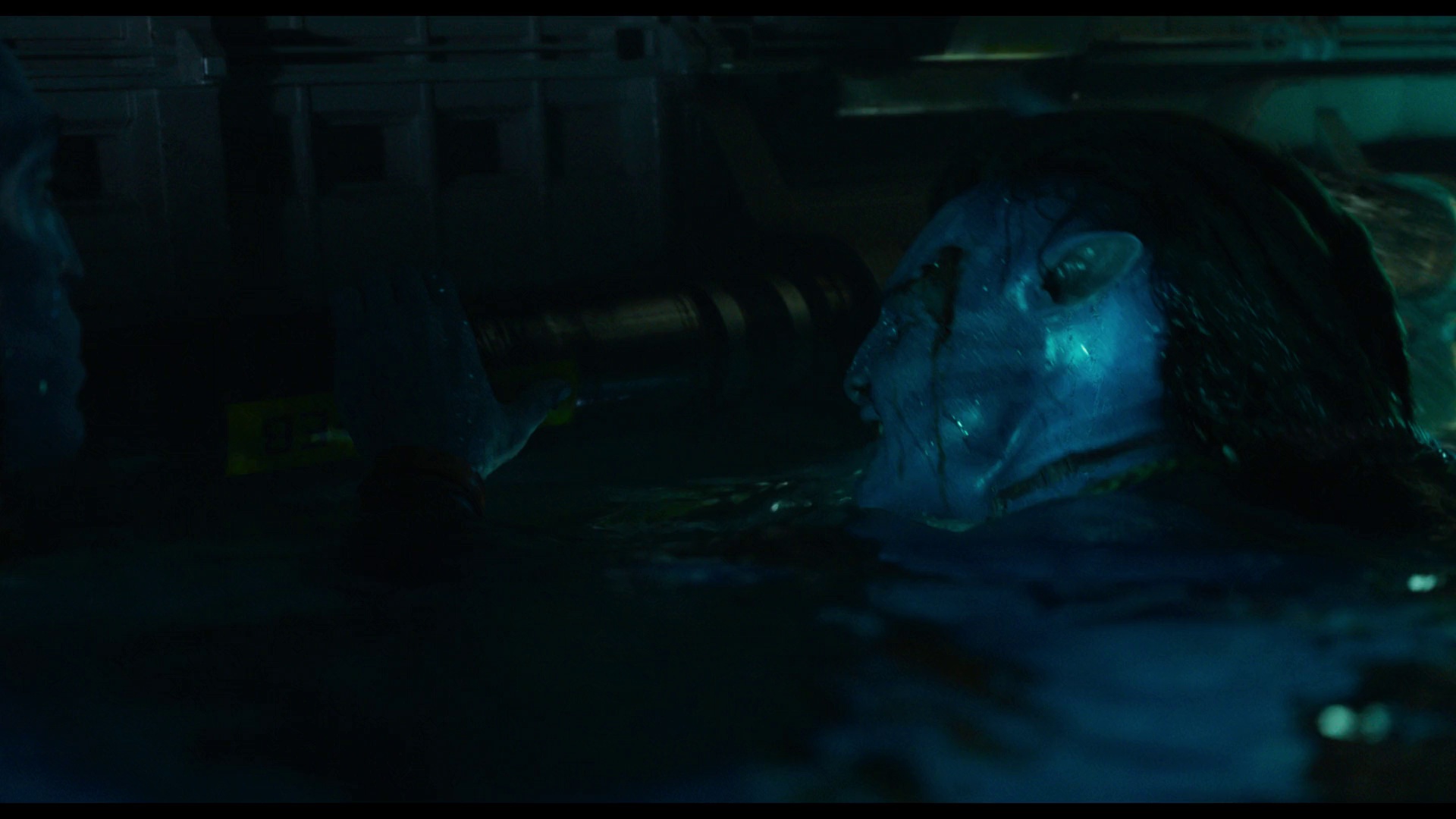 图片[7]-[BT下载][阿凡达：水之道][WEB-MKV/11.52GB][中文字幕][1080P][流媒体][PandaQT]-影音屋