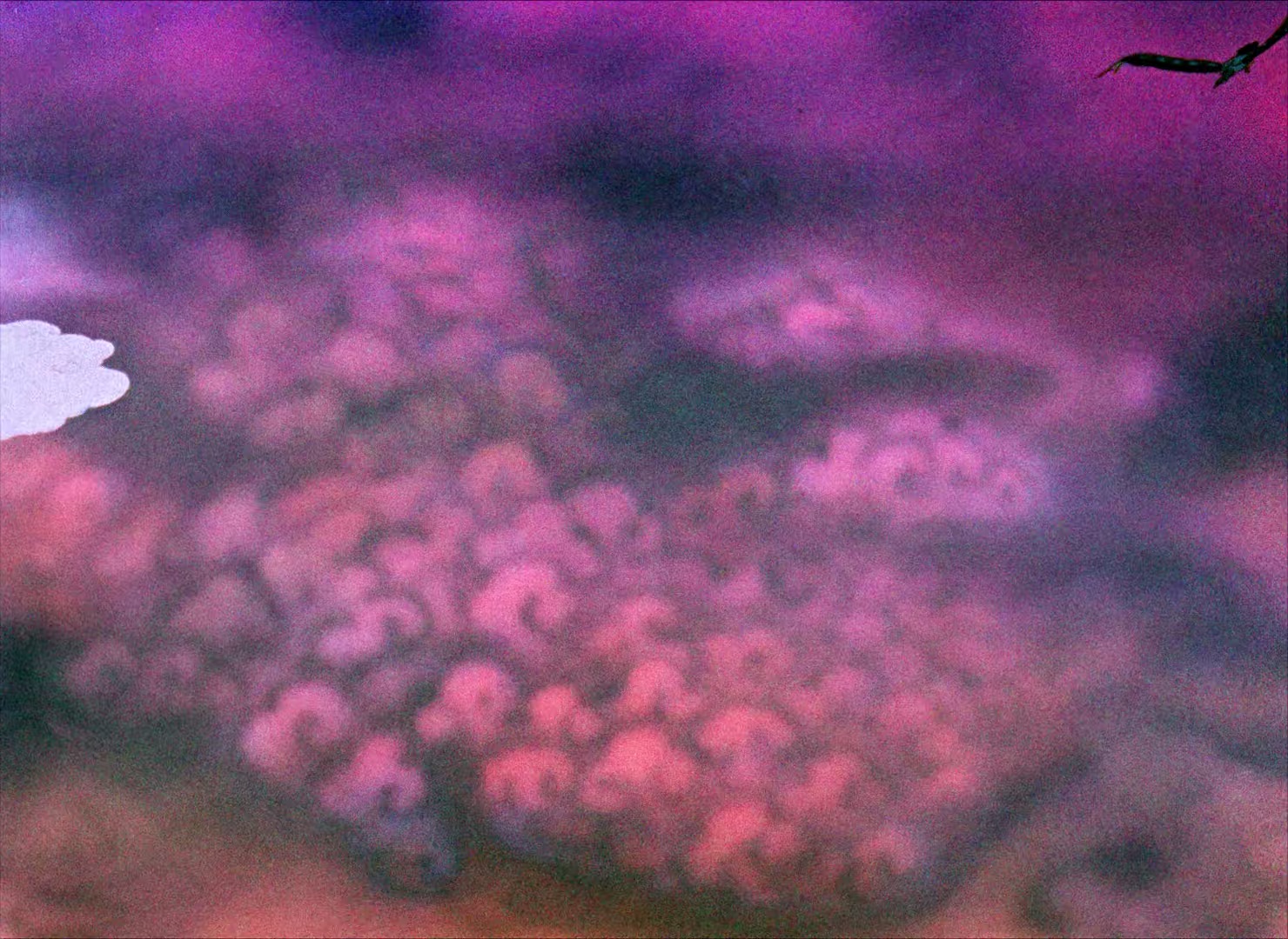 图片[7]-[BT下载][大闹天宫][BD-MKV/5.73GB][中文字幕/国语配音][1080P][H265编码][蓝光压制][ParkHD]-影音屋