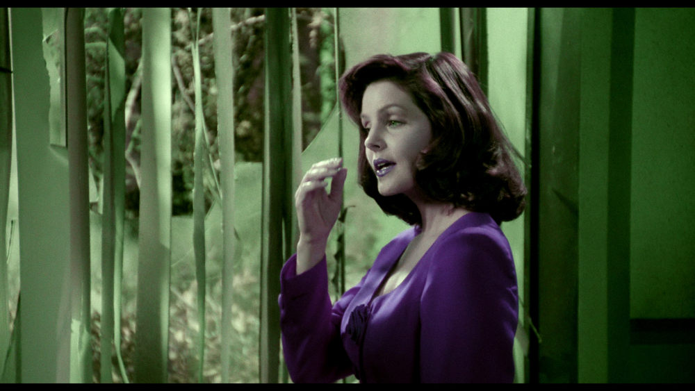 图片[2]-[BT下载][白头神探2½：恐怖的气味][WEB-MKV/12.01GB][简繁英字幕][4K-2160P][杜比视界版本][H265编码][流媒体][QuickIO]-影音屋