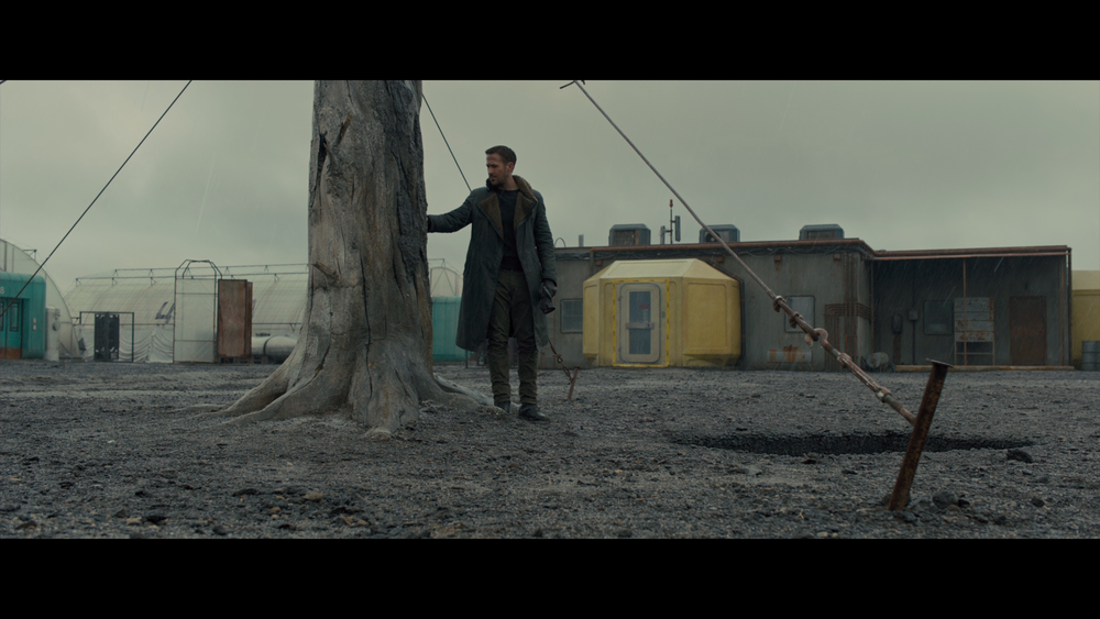 图片[3]-[BT下载][银翼杀手2049][WEB-MKV/28.83GB][简繁英字幕][4K-2160P][H265编码][流媒体][PandaQT]-影音屋